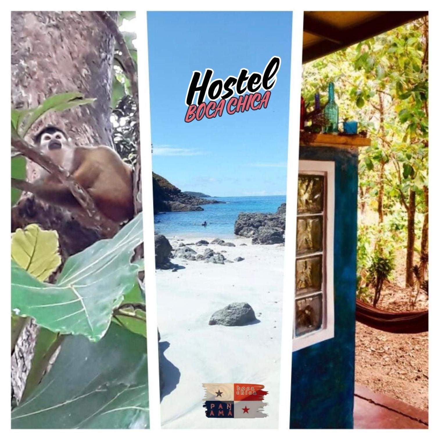 Hostel Бока-Чика Экстерьер фото